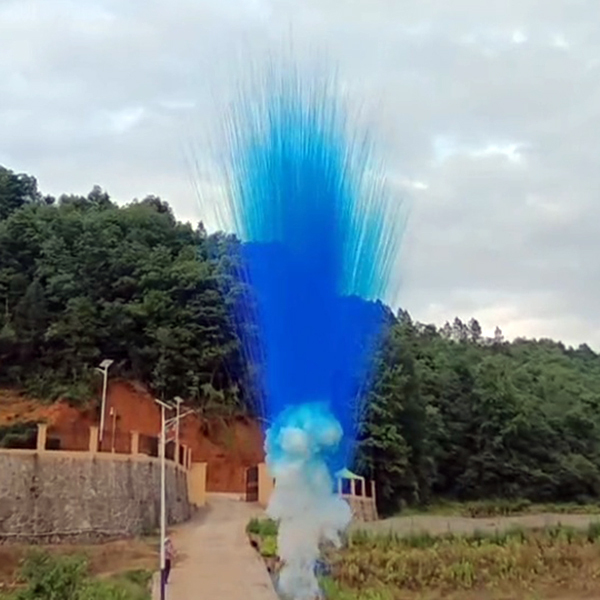 Дневной салют на гендер пати