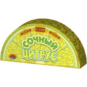 РС4580 Фонтан "Сочный цитрус" 1/20 Веер